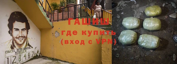 гашик Алексеевка