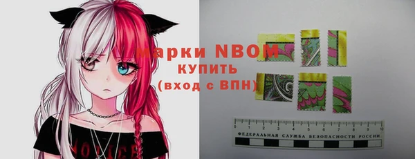 гашик Алексеевка