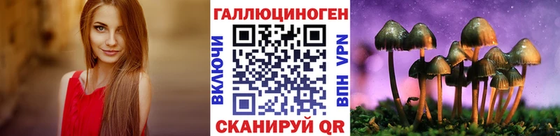 даркнет клад  Чаплыгин  Галлюциногенные грибы Cubensis 