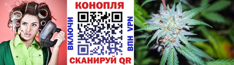 Конопля тримм Чаплыгин